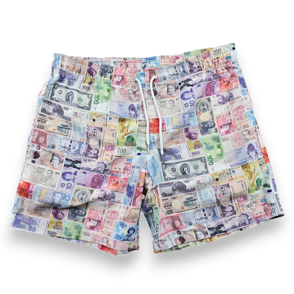 Danny Duncan Mens International Currency Money Print Swim Trunks Board Shorts